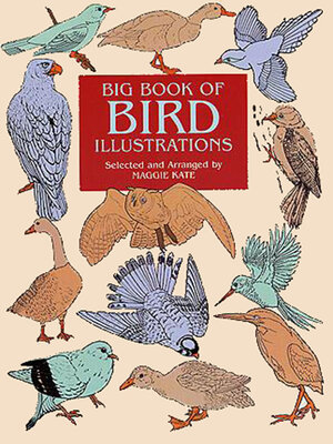 cover image of Big Book of Bird Illustrations